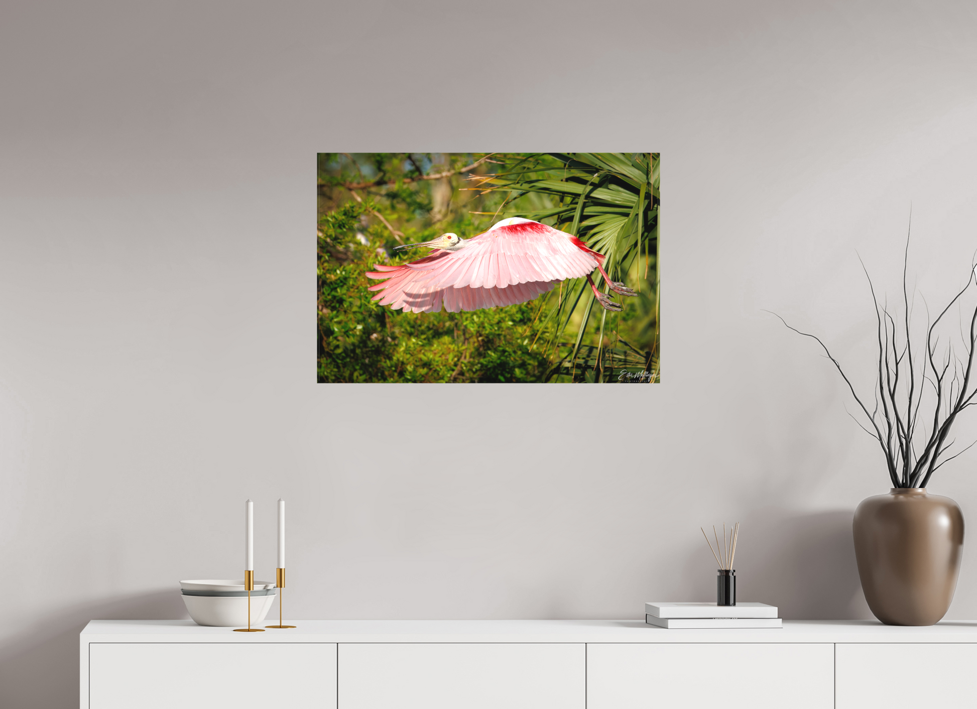 30 x 20″, Canvas "Pink Passage" - Roseate Spoonbill
