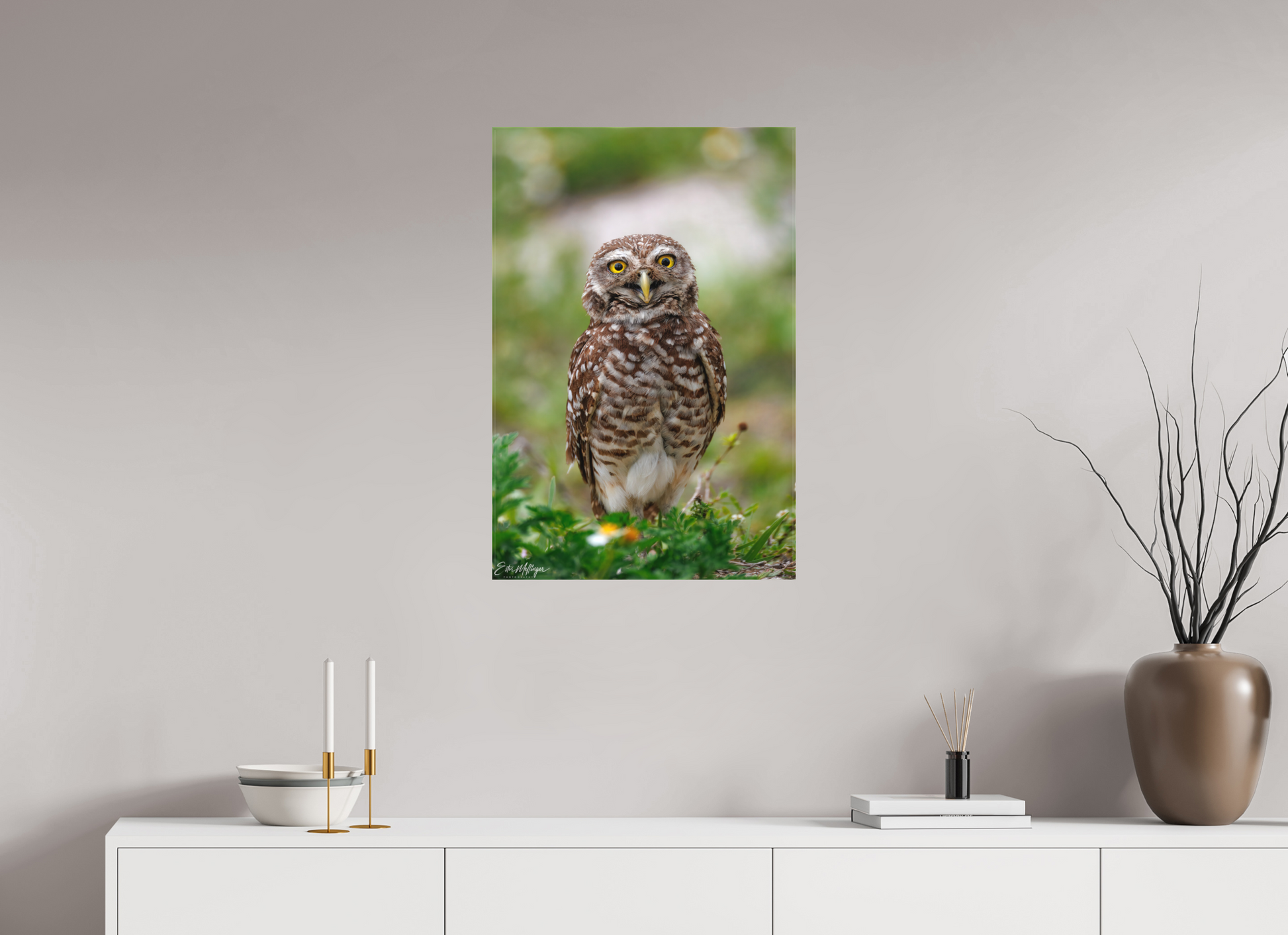 20 x 30″, Canvas "Wide-Eyed Wonder" - Burrowing Owl