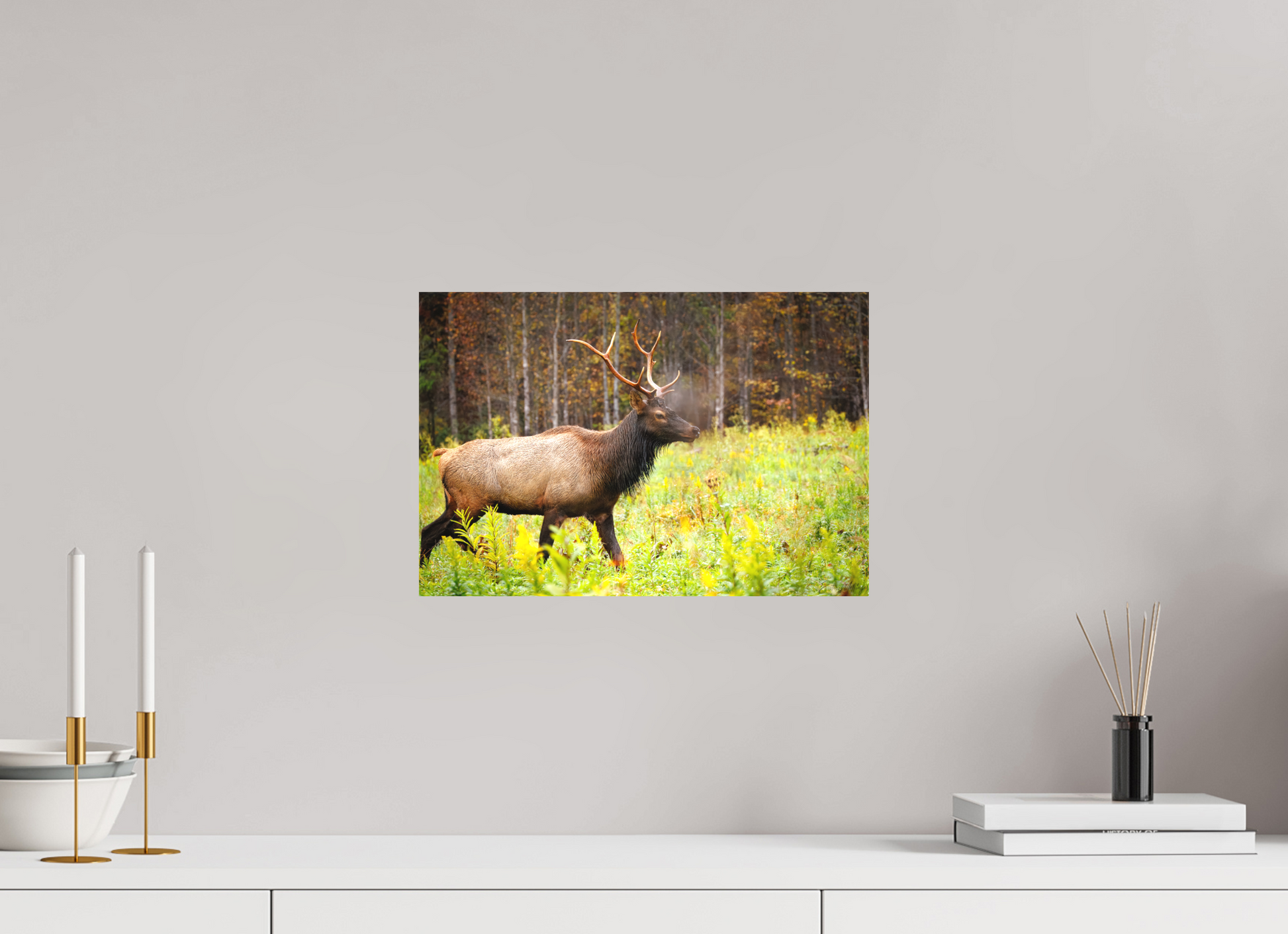 15 x 10″, Canvas "Call of the Wild" - Elk