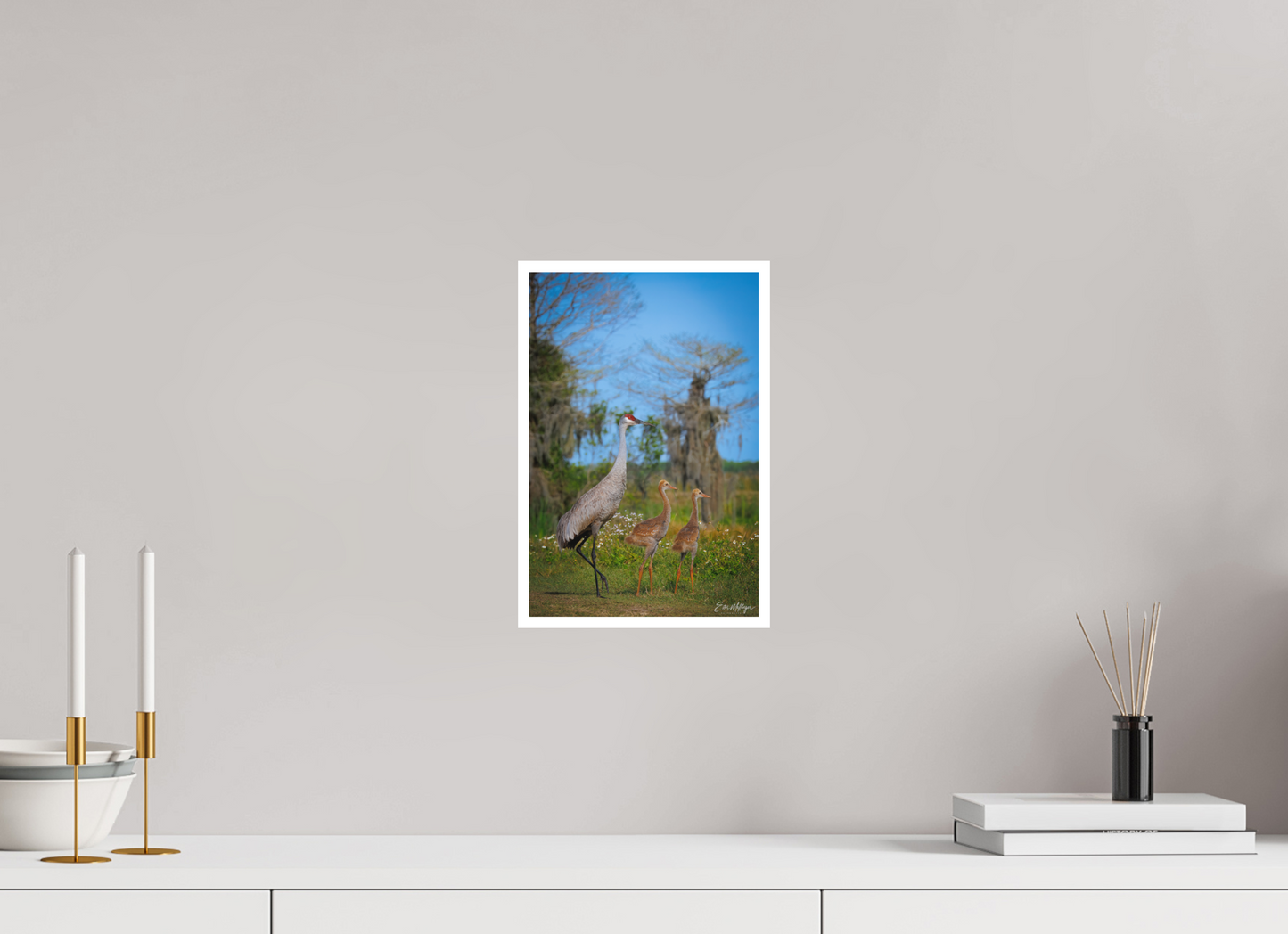 8 x 12″, Fine art print "Wetland Wanderers" - Sandhill Cranes