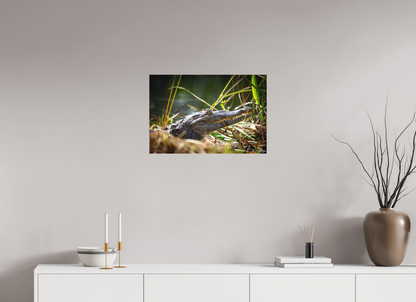 24 x 16″, Canvas "Teeth of Time" - American Crocodile