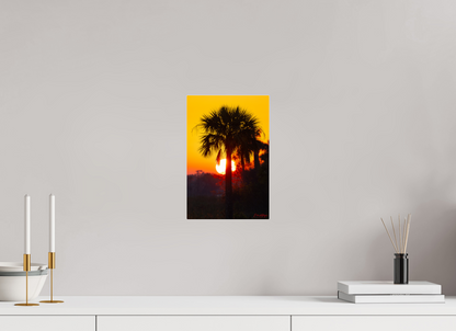 8 x 12″, Acrylic "Florida Awakens"