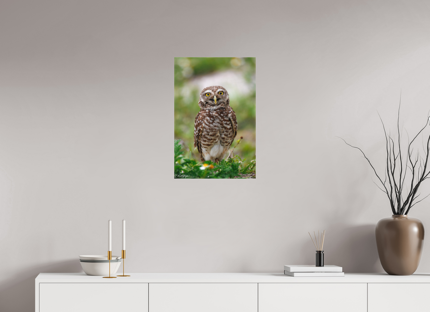 16 x 24″, Canvas "Wide-Eyed Wonder" - Burrowing Owl