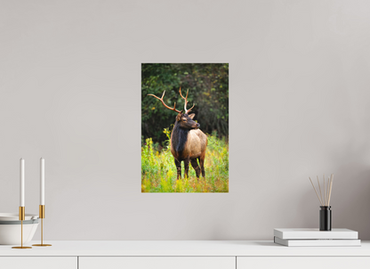 10 x 15″, Canvas "The Watchful King" - Elk