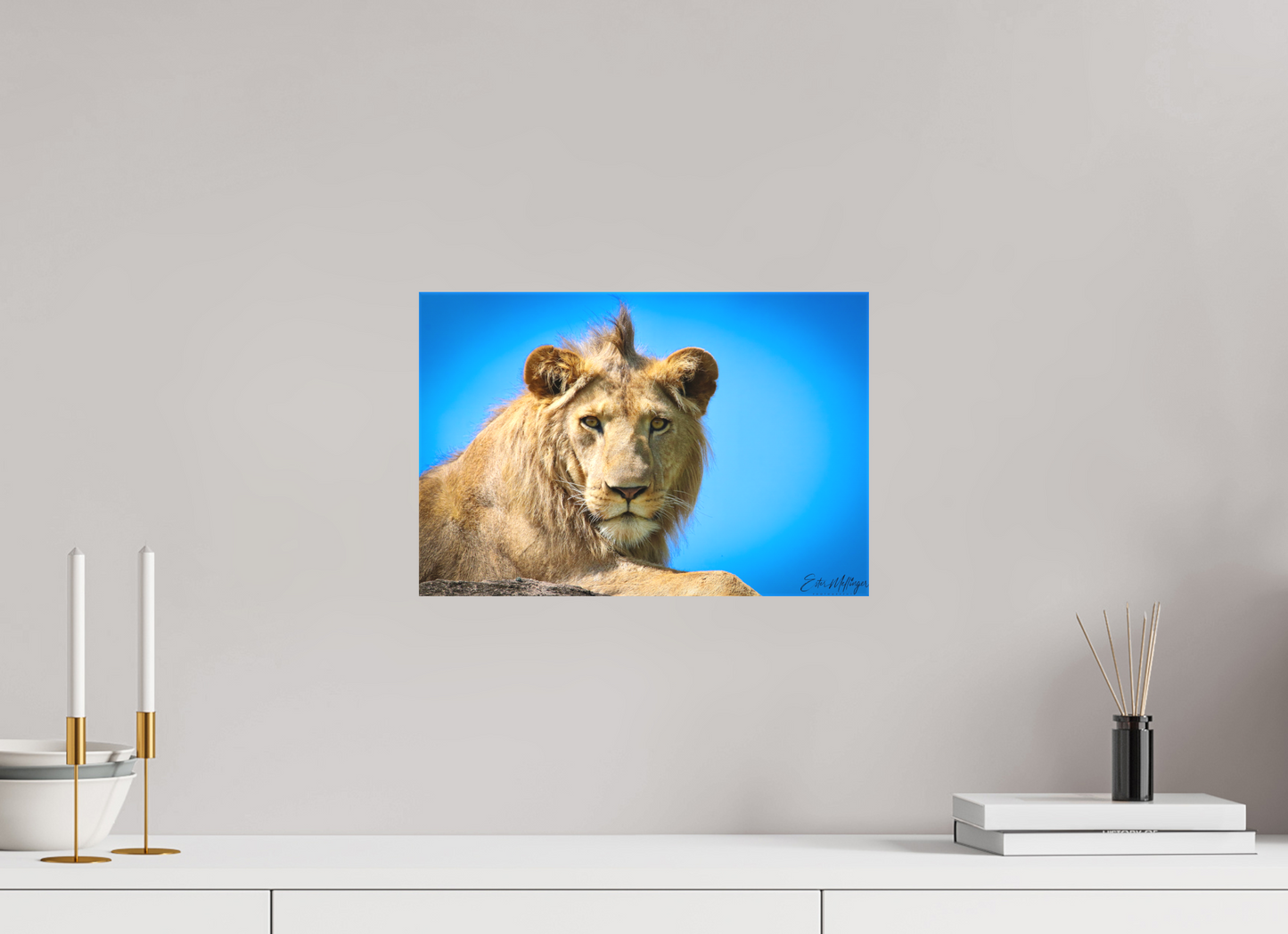 15 x 10″, Canvas "The Monarch" - Lion of the Blue Sky