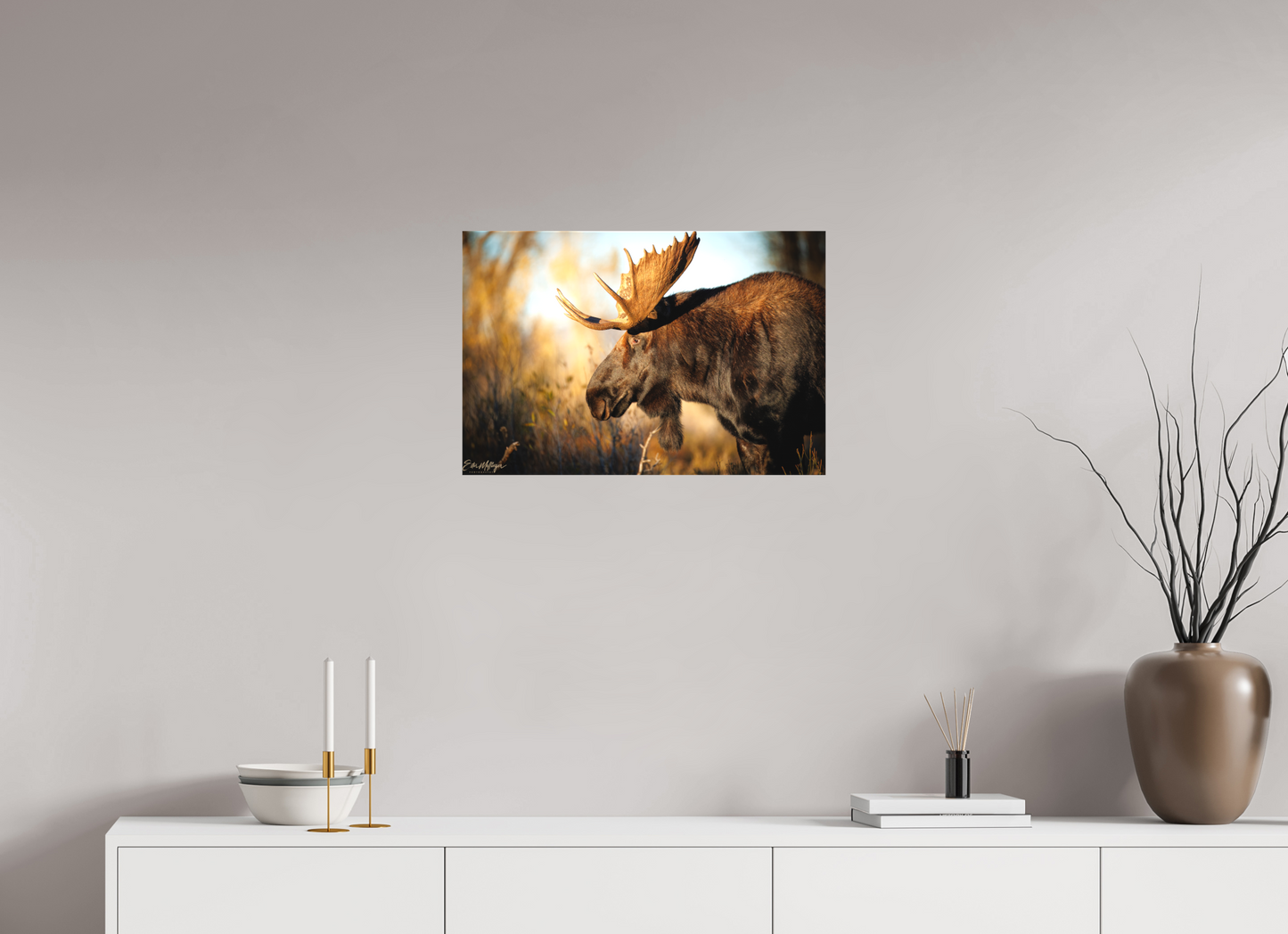 24 x 16″, Canvas "Monarch of Gros Ventre - In His Eyes"