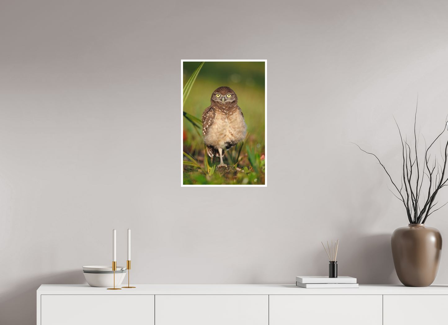 16 x 24″, Fine art print "Little Lookout" - Burrowing owlet