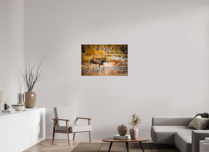 36 x 24″, Canvas "Grace of Gros Ventre" - Moose