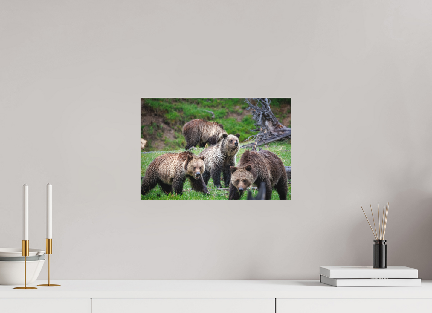 Grizzly family of four