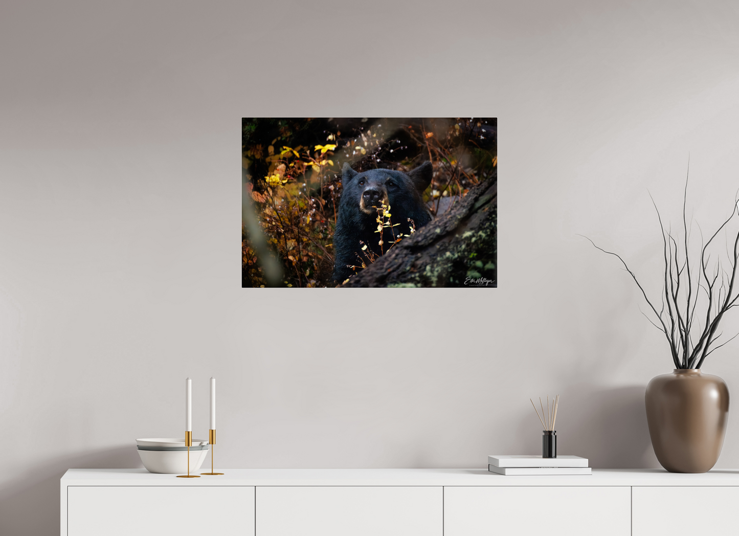 30 x 20″, Acrylic "Autumn Watch" - Black Bear