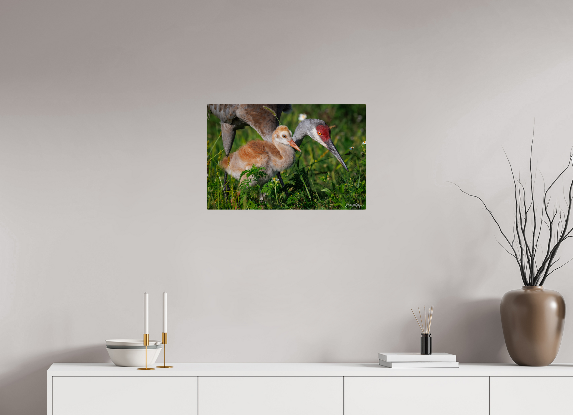 24 x 16″, Metal "Guiding the Next Generation" - Sandhill Cranes
