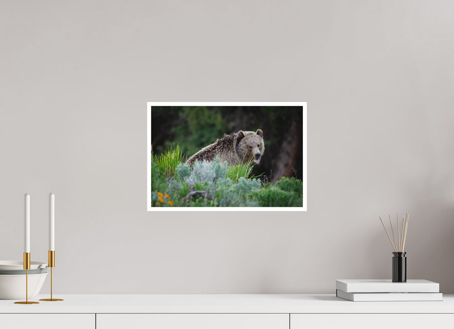 15 x 10″, Fine art print "Gentle Yawn" - Grizzly Bear