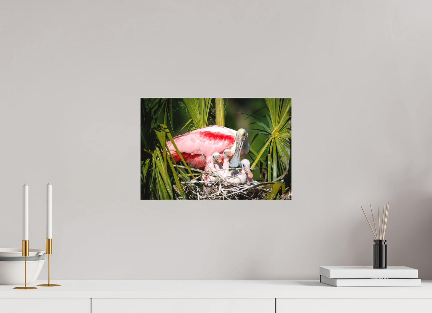 Spoonbill with teaspoons