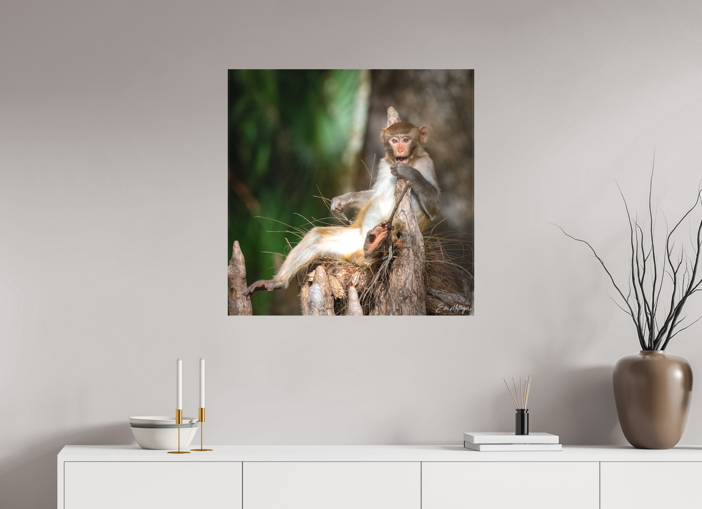 30 x 30″, Canvas "Silver Song" - Rhesus Macaque