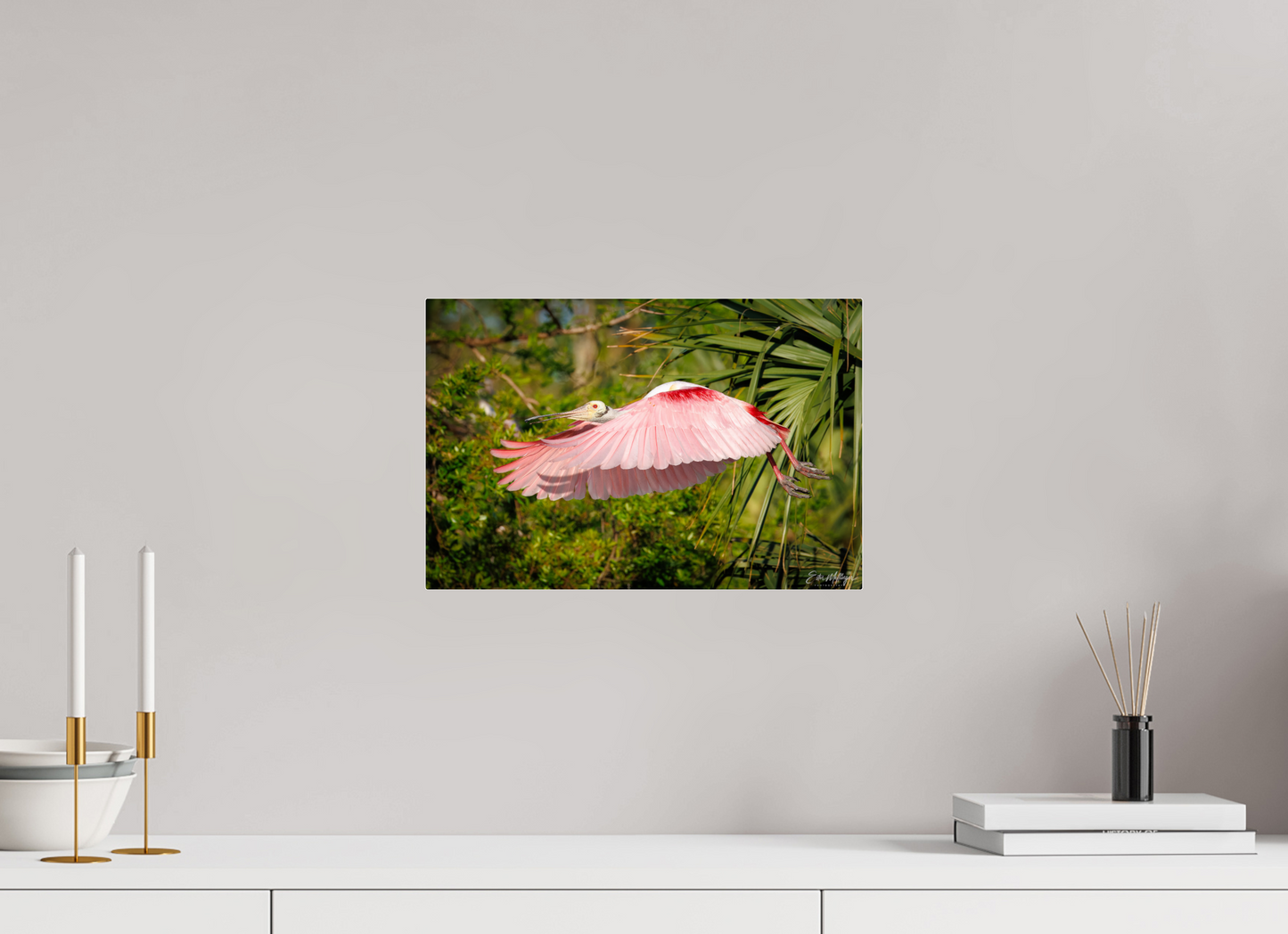 15 x 10″, Acrylic "Pink Passage" - Roseate Spoonbill