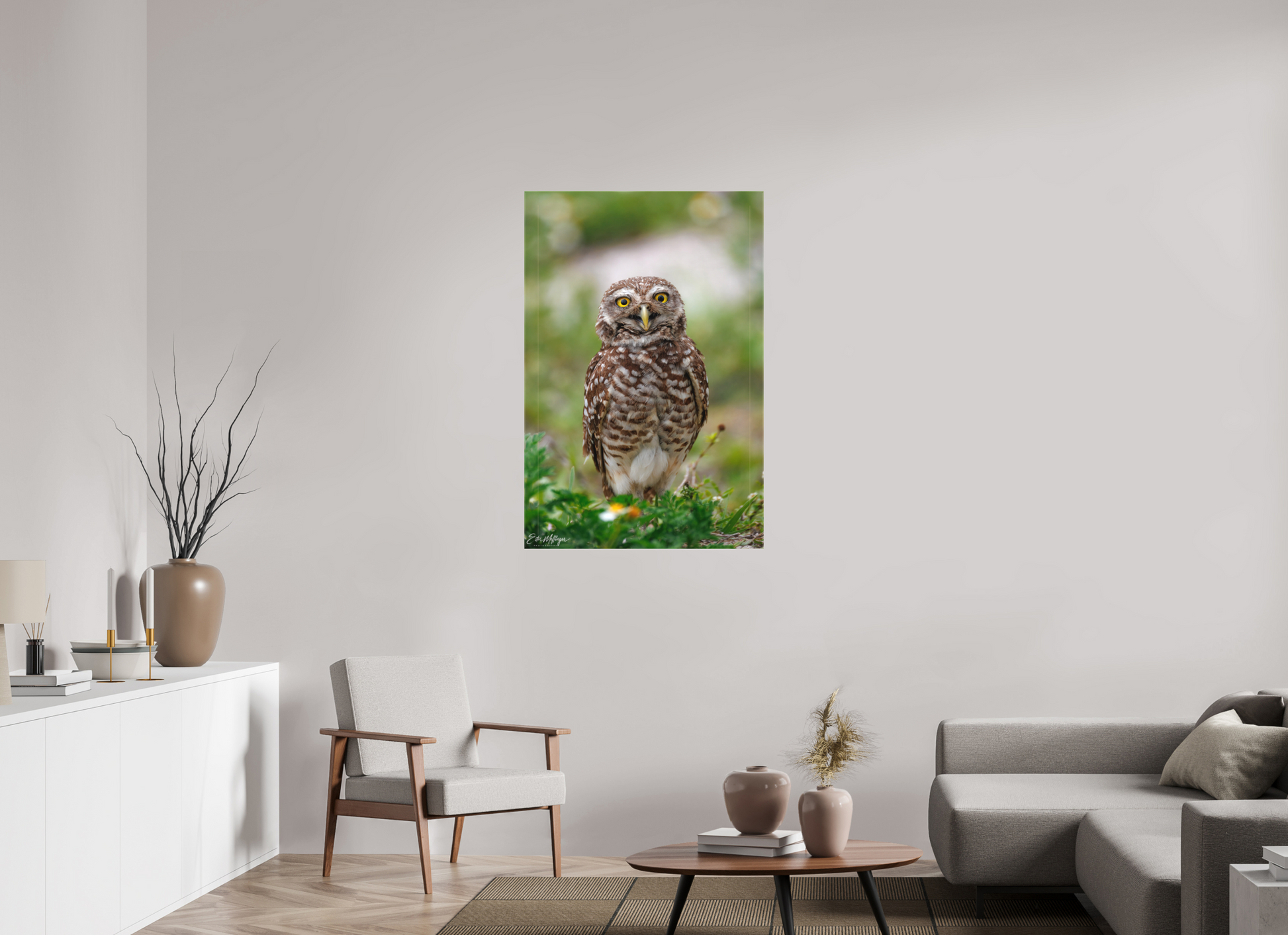 30 x 45″, Canvas "Wide-Eyed Wonder" - Burrowing Owl
