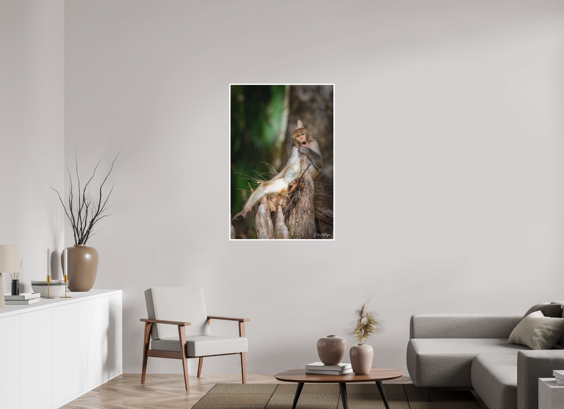 30 x 45″, Fine art print "Silver Song" - Rhesus Macaque