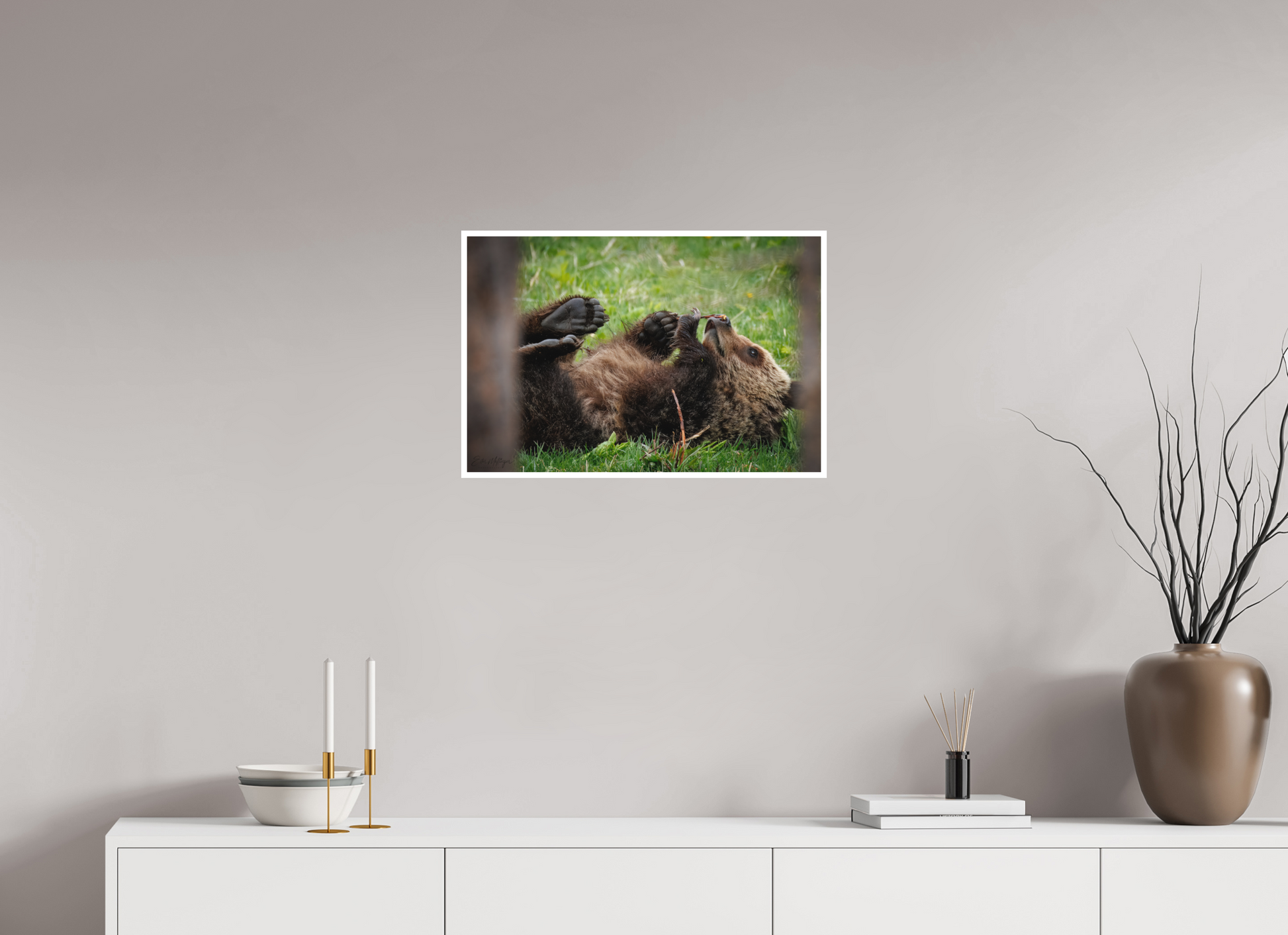 24 x 16″, Fine art print "Gentle Discovery" - Grizzly Bear