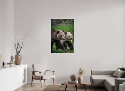 30 x 45″, Metal "Rainfall Stroll" - Grizzly Bears