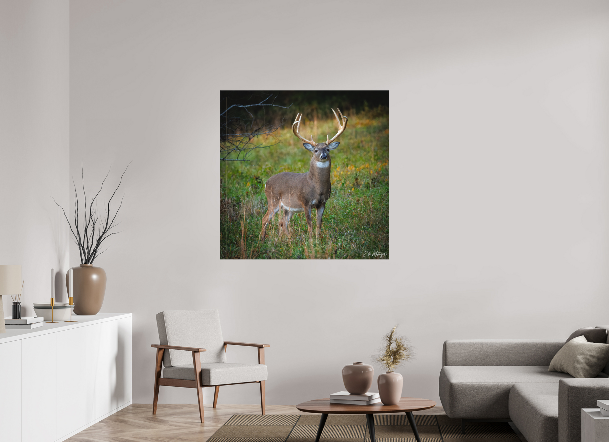 45 x 45″, Canvas "Majesty of the cove" - White-tailed Buck