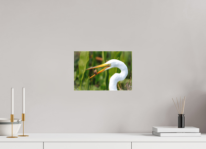 12 x 8″, Canvas "Marsh Hunter" - Great Egret