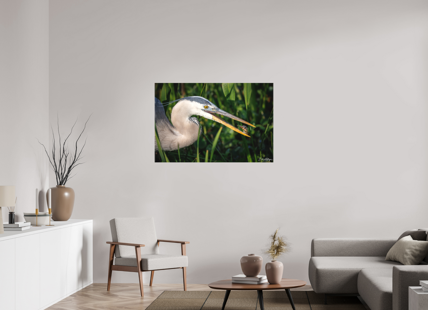 45 x 30″, Canvas "The Catch" - Great Blue Heron