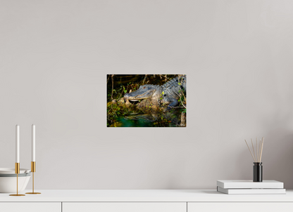 12 x 8″, Acrylic "Shadow of the Cypress" - American Alligator
