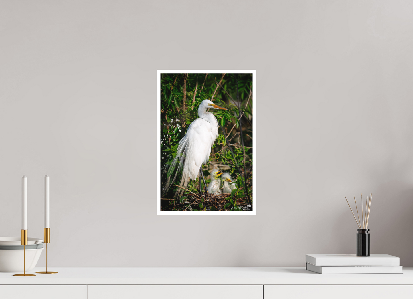 Great egret with chicks