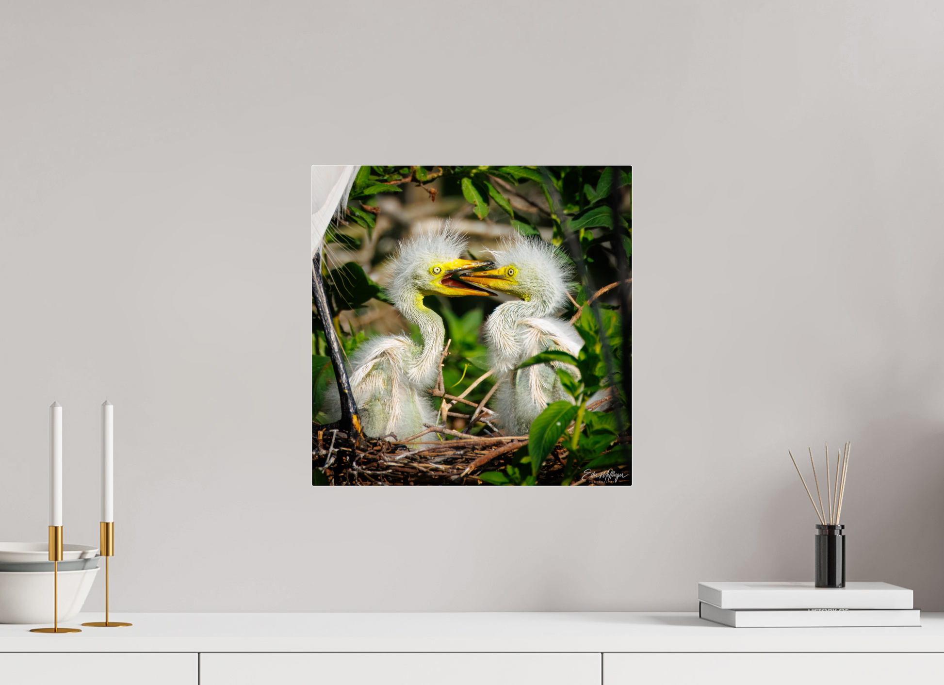 15 x 15″, Acrylic "Fluffy Dinosaurs" - Baby Great Egrets