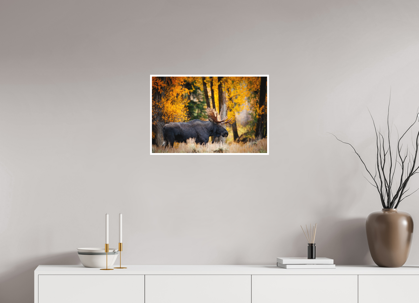 24 x 16″, Fine art print "Majesty in the rain" - Bull moose