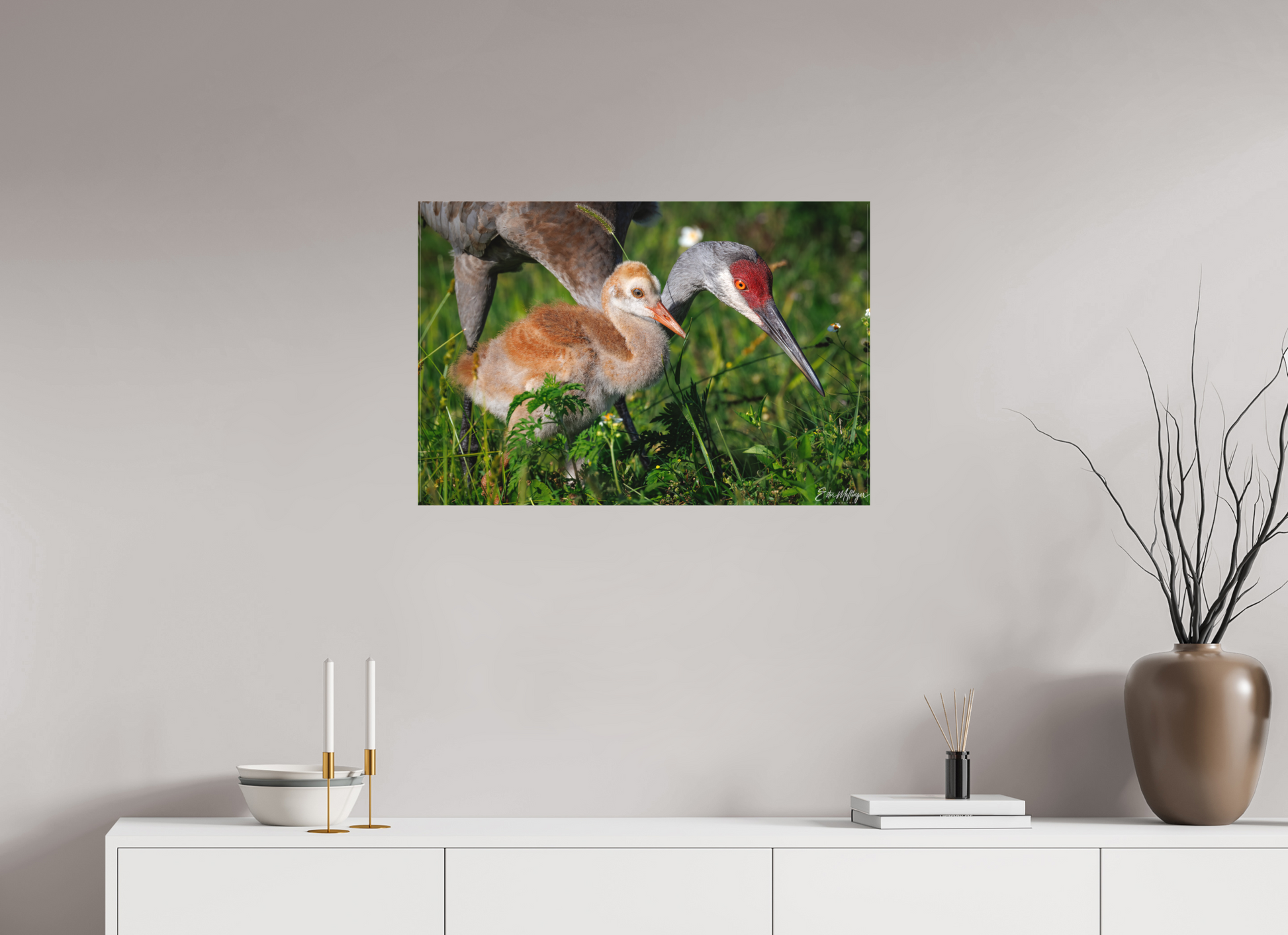 30 x 20″, Canvas "Guiding the Next Generation" - Sandhill Cranes