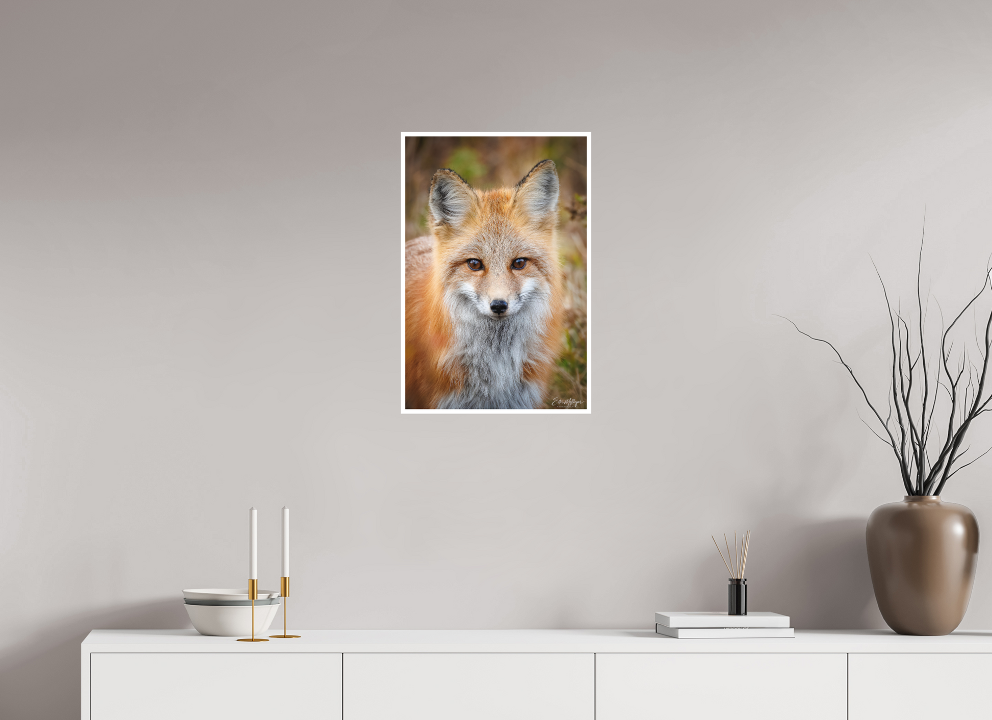 16 x 24″, Fine art print "Face to Face" - Red Fox