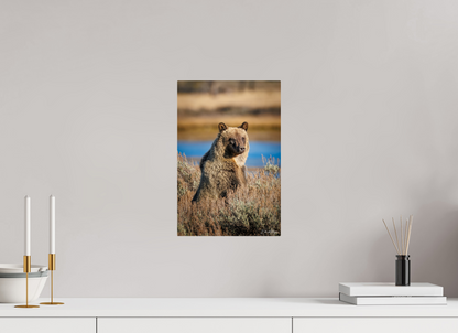 10 x 15″, Metal "River Watch" - Grizzly Bear