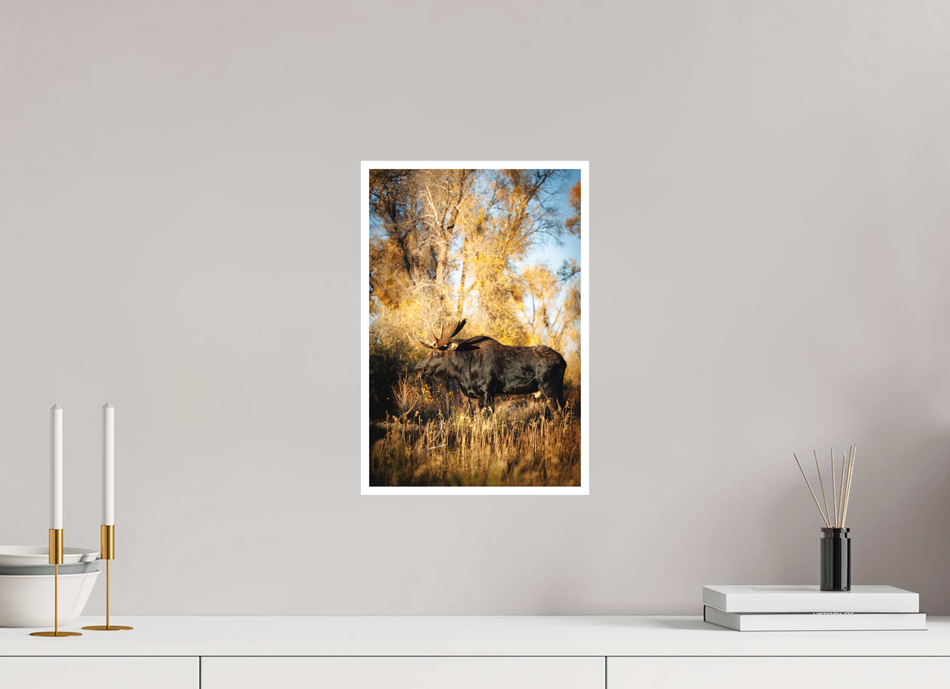 10 x 15″, Fine art print "Monarch of Gros Ventre - Stillness" - Bull Moose
