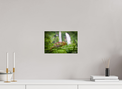 12 x 8″, Acrylic "Guardian of the Falls" - Chameleon in the Rainforest
