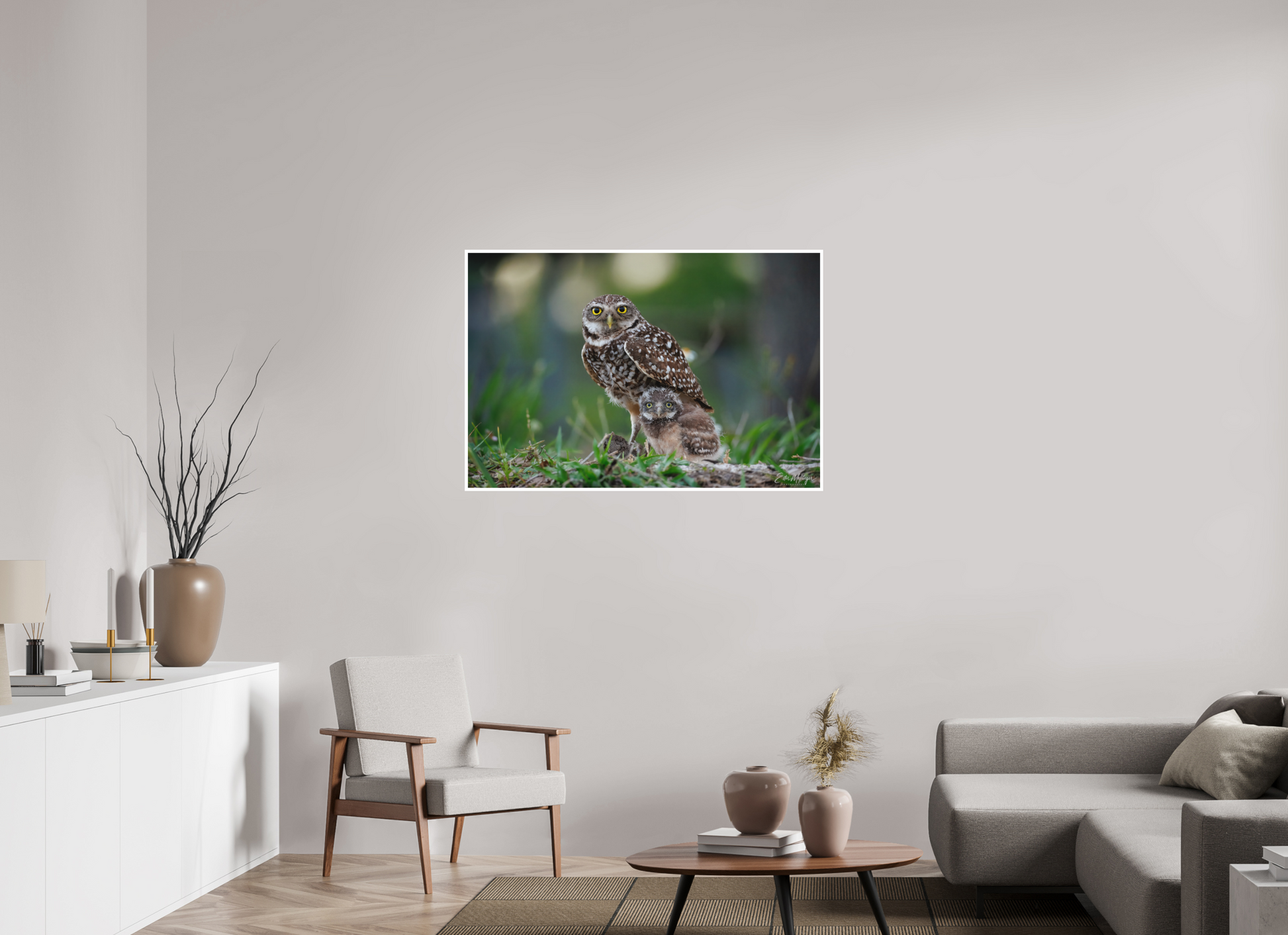 45 x 30″, Fine art print "Burrowlight" - Burrowing Owls