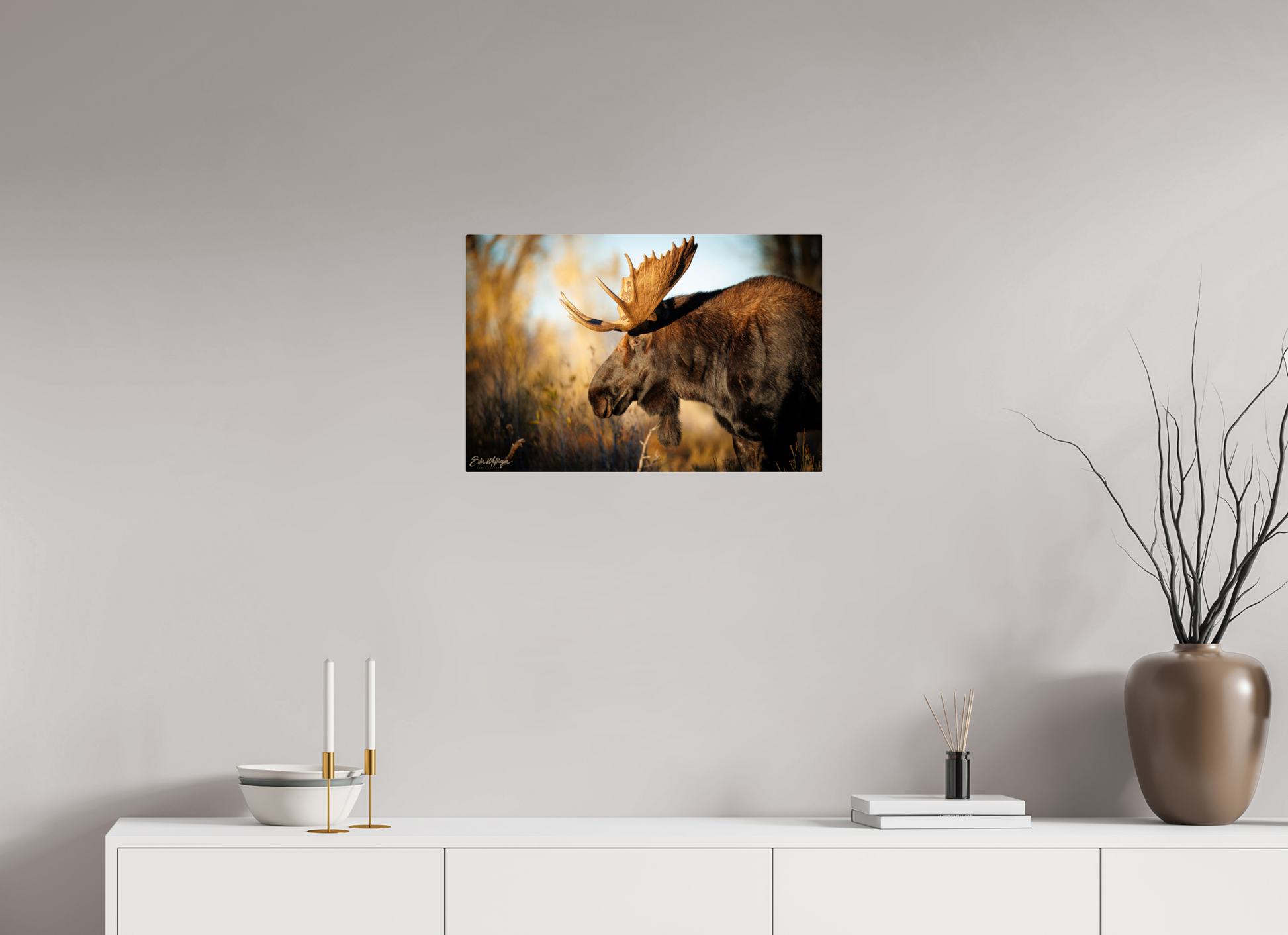 24 x 16″, Acrylic "Monarch of Gros Ventre - In His Eyes"