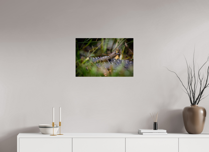 24 x 16″, Acrylic "Backseat Explorer" - Baby Alligator