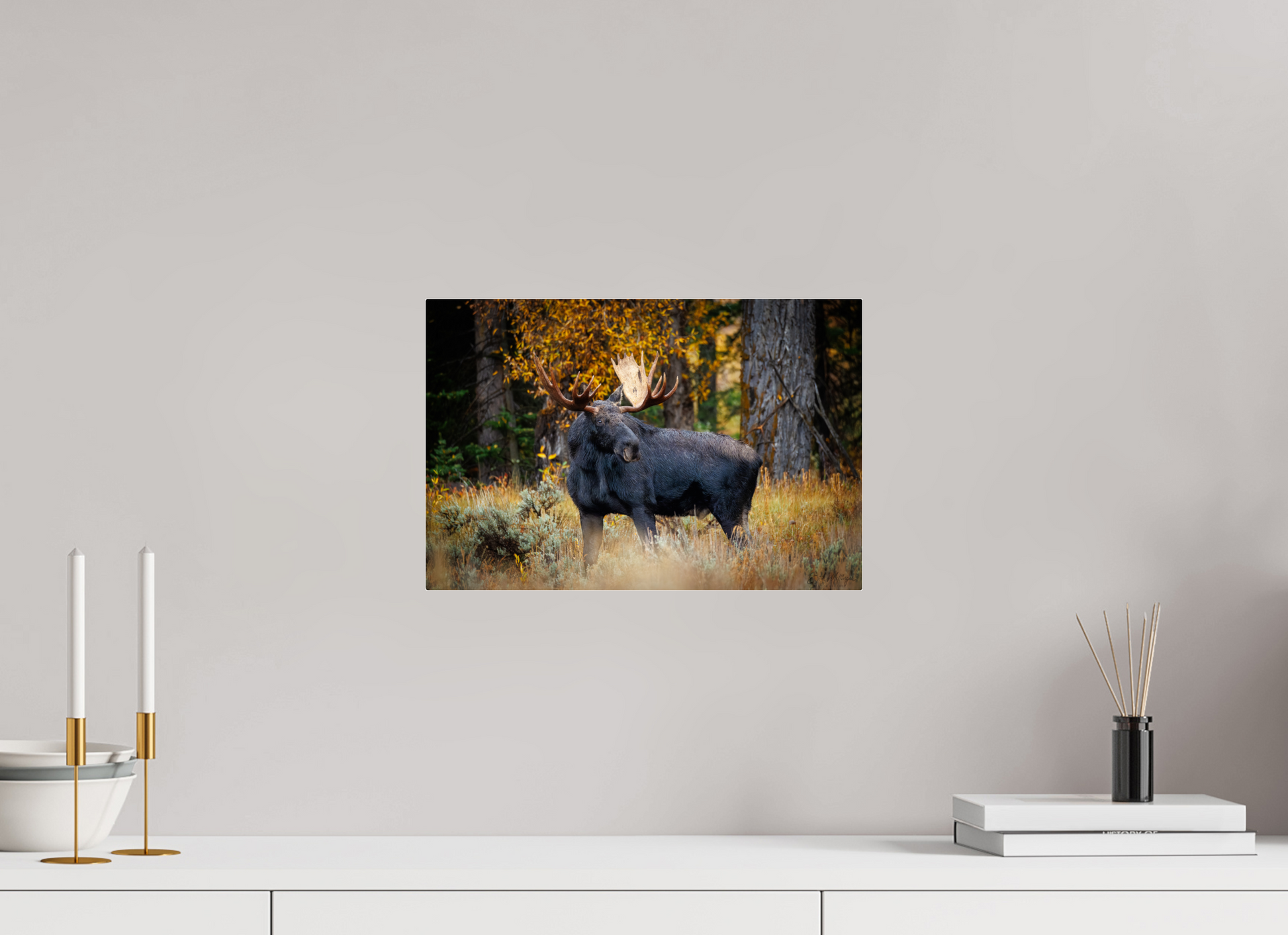 15 x 10″, Acrylic "Guardian of the Gros Ventre" - Bull moose