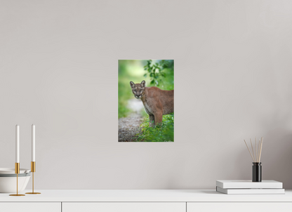 8 x 12″, Canvas "Ghost of the Green Forest" - Florida Panther, vertical