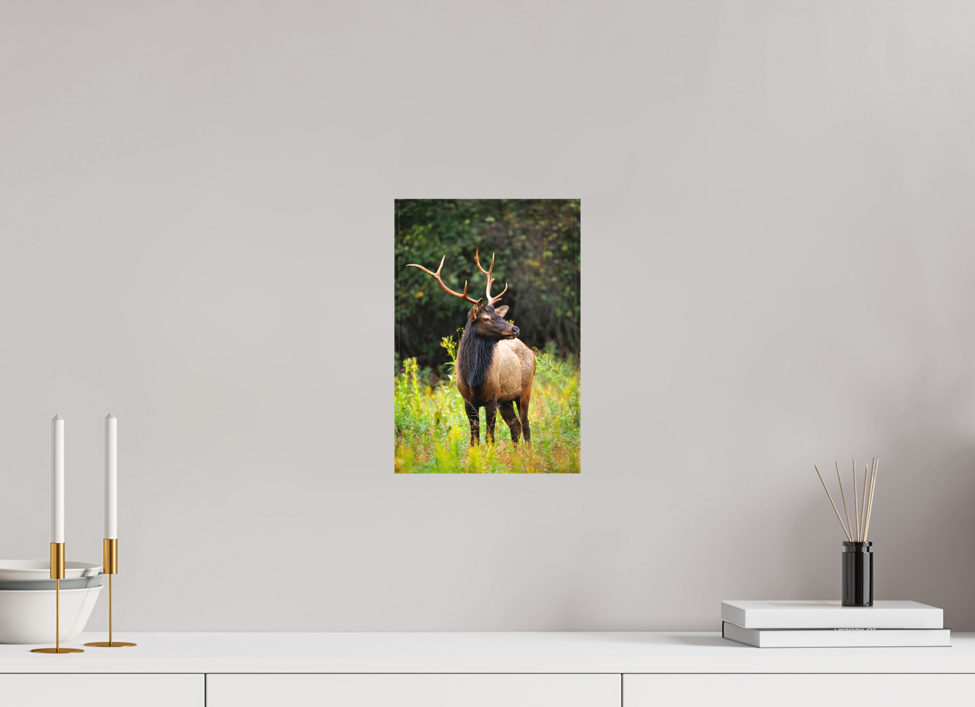 8 x 12″, Canvas "The Watchful King" - Elk