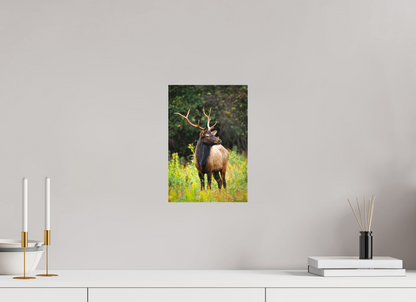 8 x 12″, Canvas "The Watchful King" - Elk