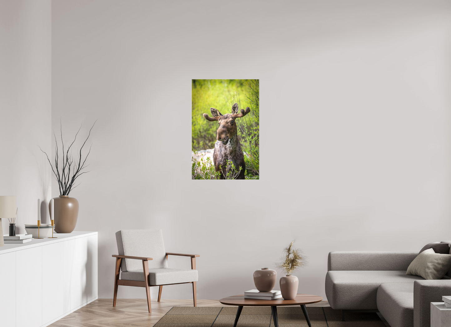 24 x 36″, Canvas "Willow Smile" - Moose