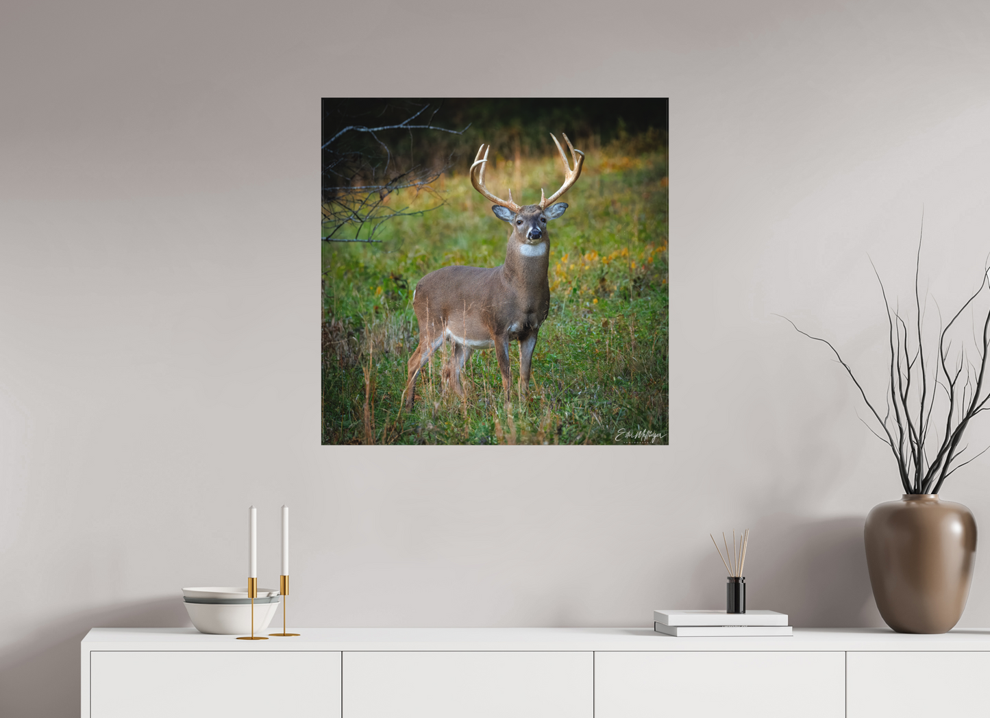30 x 30″, Canvas "Majesty of the cove" - White-tailed Buck