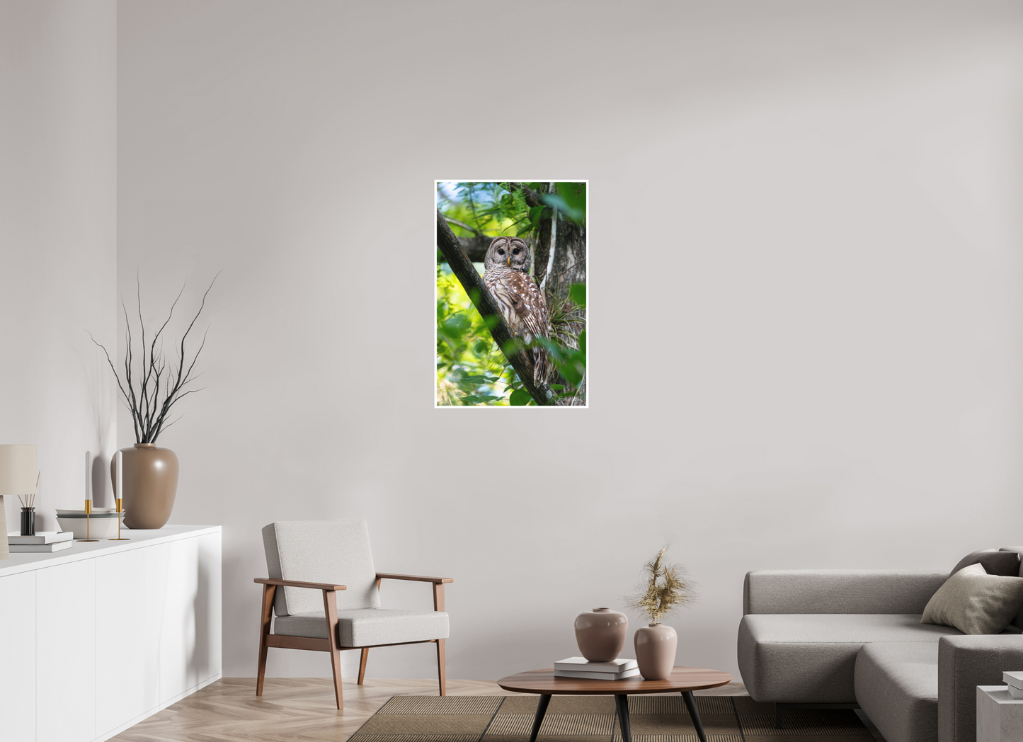 24 x 36″, Fine art print "..." - Barred Owl