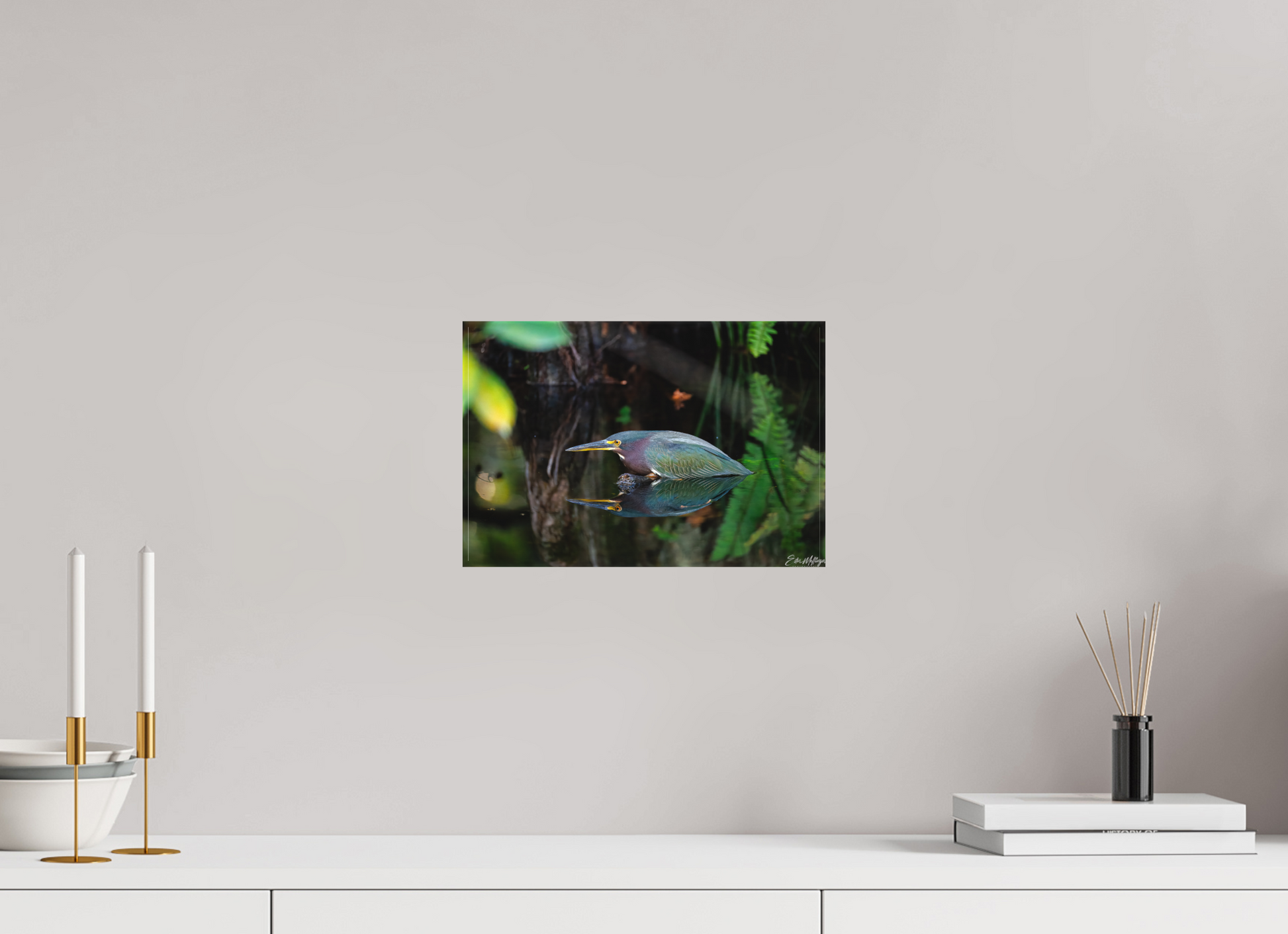 12 x 8″, Canvas "Reflections in the Cypress" - Green Heron