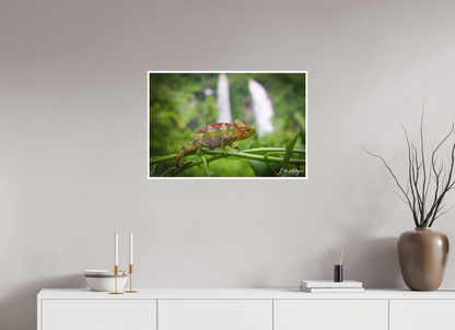30 x 20″, Fine art print "Guardian of the Falls" - Chameleon in the Rainforest