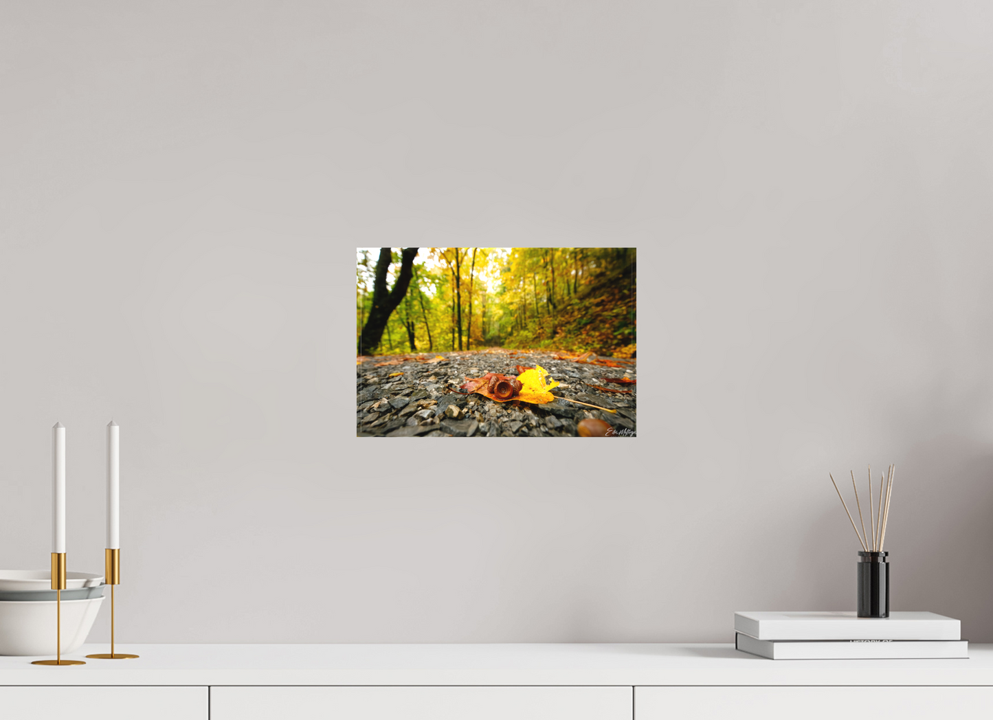 12 x 8″, Canvas "The Long Way Home" - Cades Cove