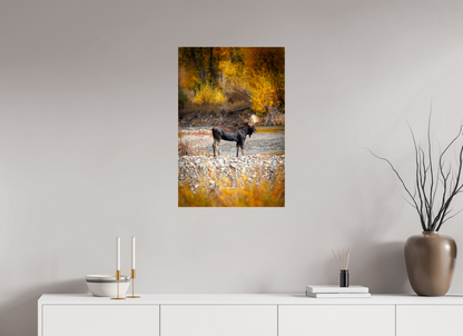20 x 30″, Acrylic "King of the Colors" - Bull Elk, Gros Ventre River