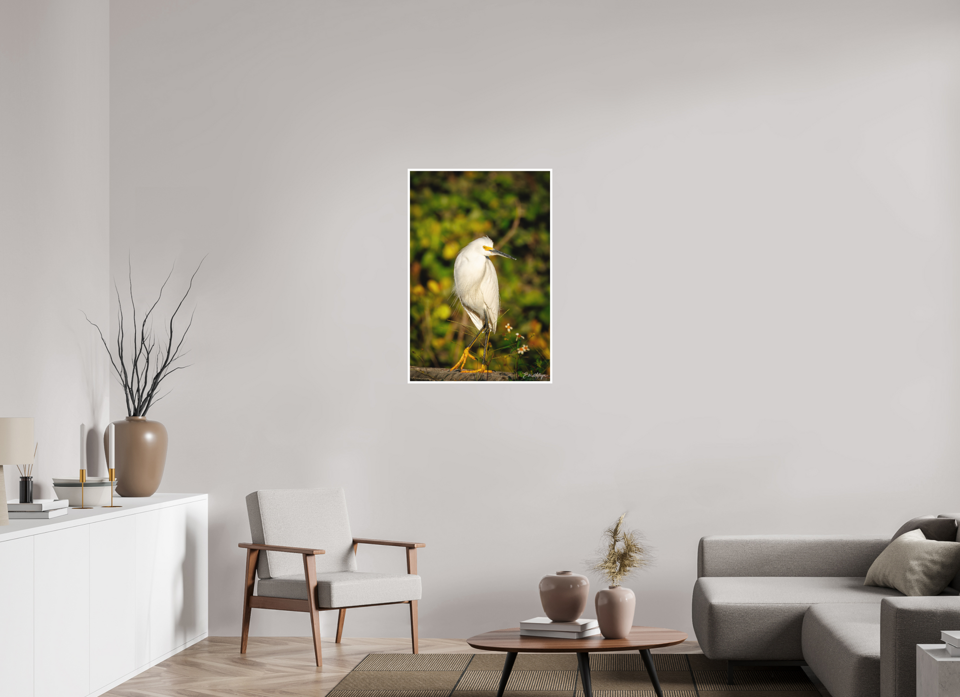 24 x 36″, Fine art print "Golden Light, White Silence" - Great Egret